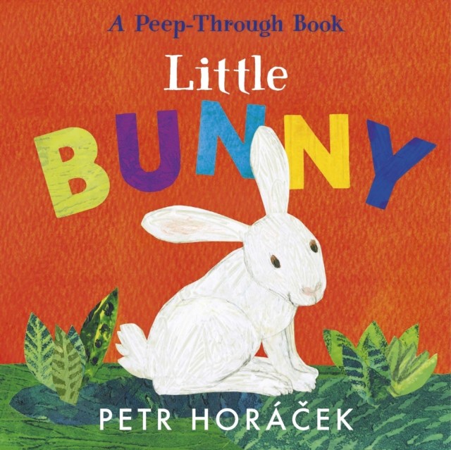 Little Bunny by Petr Horacek (Board book)
