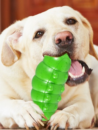 Dog Chew Toys Squeaky Puppy Teeth Chew Toy for Aggressive Chewers stCkG - Picture 6 of 11