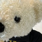 Bild 5 von 6