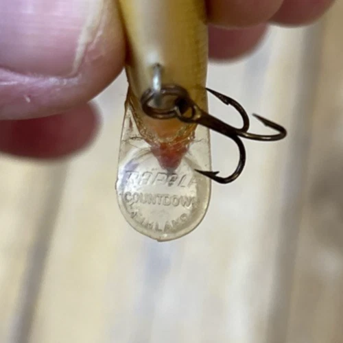 Rapala Countdown Sinking Minnow CD5 gris/dorado Foto 4 de 4