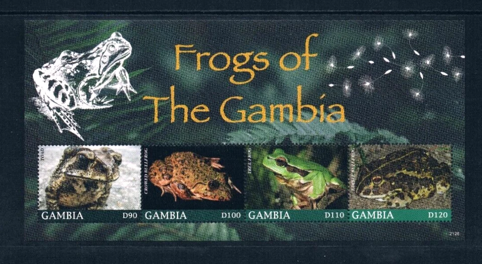 Valor Scott de $25,75 - Ranas GAMBIA 2021 2 s/s Vida silvestre de África Occidental CV MNH NH UMM Foto 4 de 4