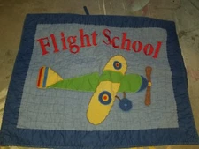 The Company Store "Flight School" Standard Sham