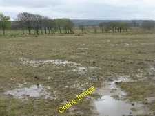 Photo 6x4 Wet field and shelterbelt at Springhill Springhill/NS8858  c2012