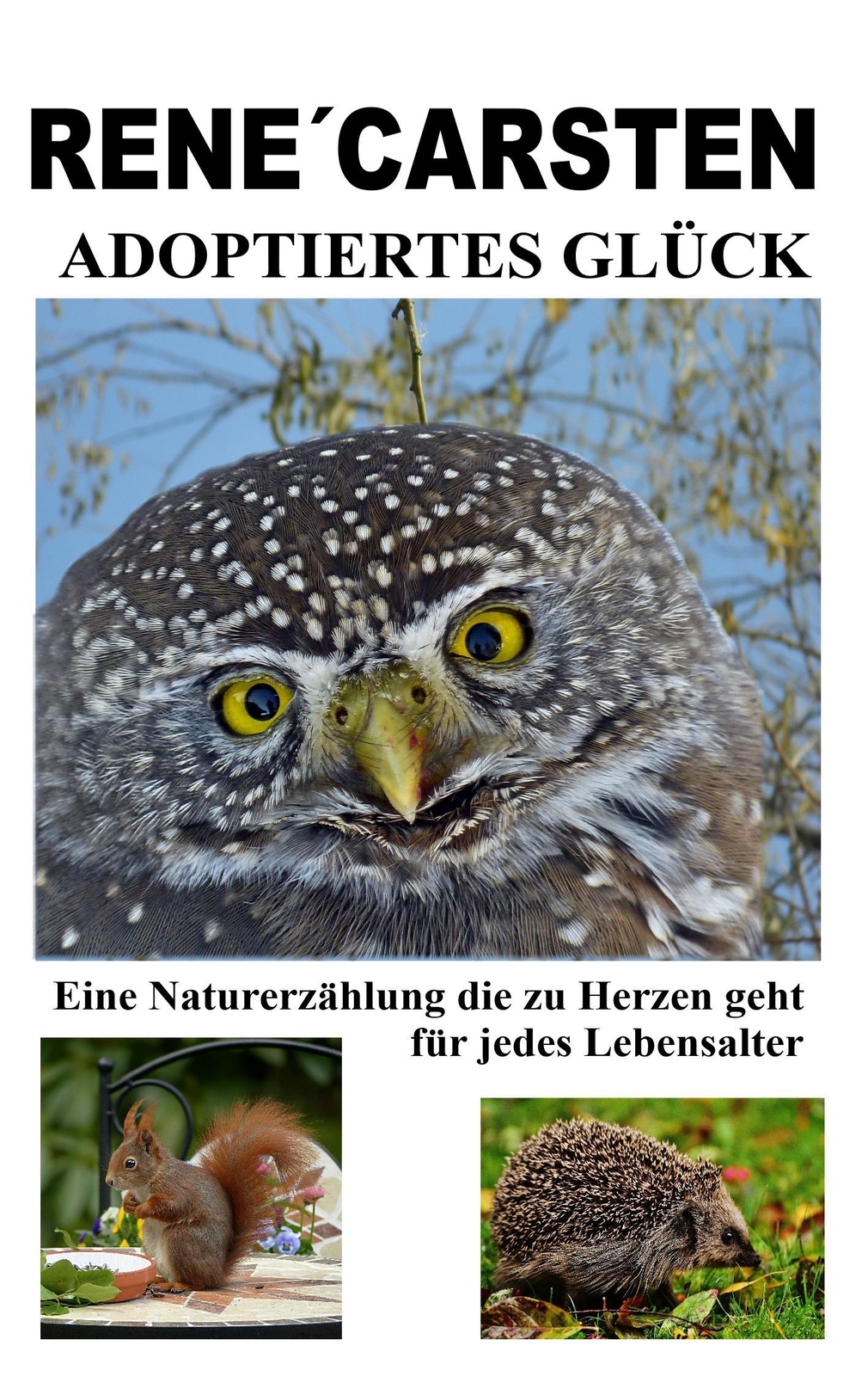 Thumbnail - Adoptiertes Glück | Rene´ Carsten | Taschenbuch | Paperback | 100 S. |