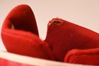 Bild 9 von 11