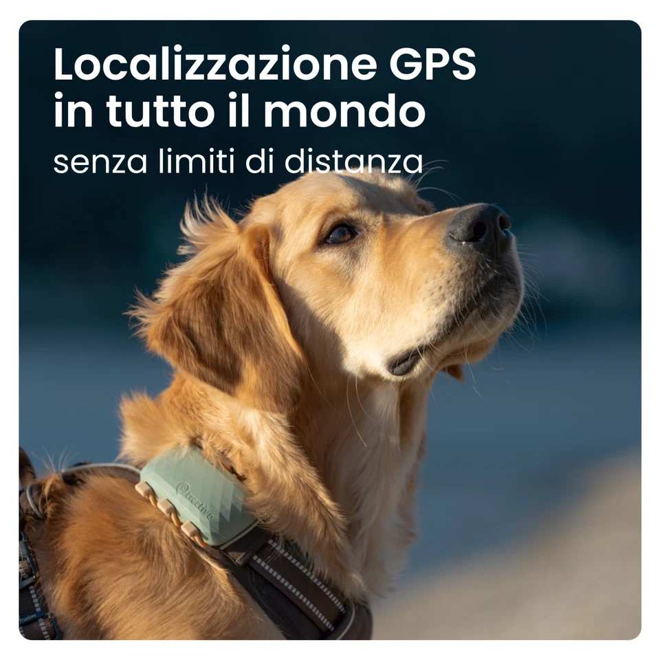 Tractive DOG XL | GPS per cani e monitor di salute | Verde | USATO - Image 2 of 4