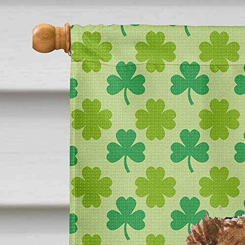 LH9183CHF Australian Shepherd St. Patrick's Day Shamrock House Flag Large - Bild 4 von 8