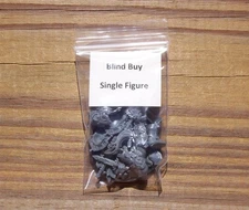 40K Adeptus Custodes _Custodian Guard w/ Guardian Spear Blind Buy Single Figure