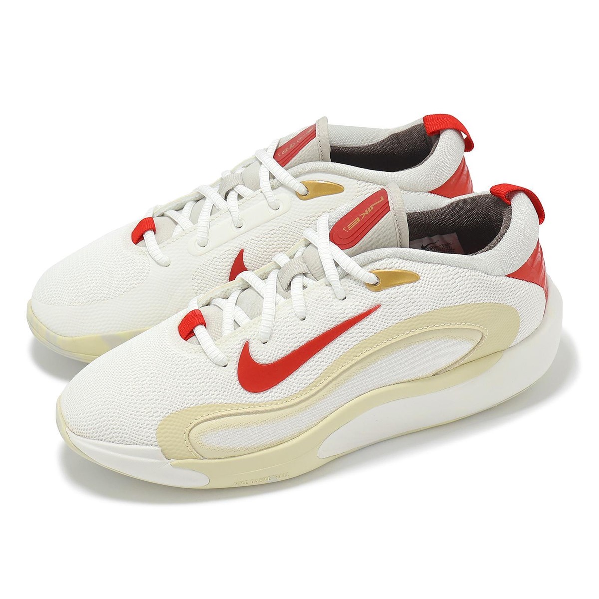 シューズ NIKE Baque 27cm NIKE+ISOFLY+(GS).png
