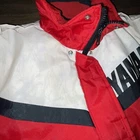 Picture 4 of 12