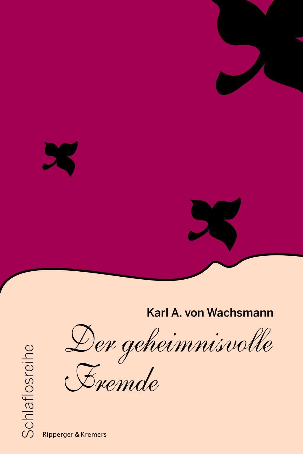 Thumbnail - Der Geheimnisvolle Fremde | Schlaflosreihe 10 | Karl A Von Wachsmann |