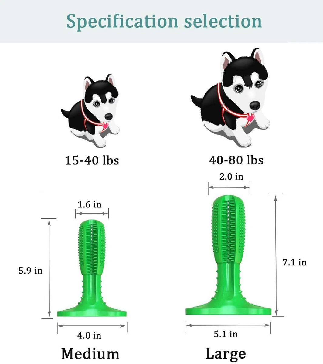 Dog 2025 toothbrush ebay