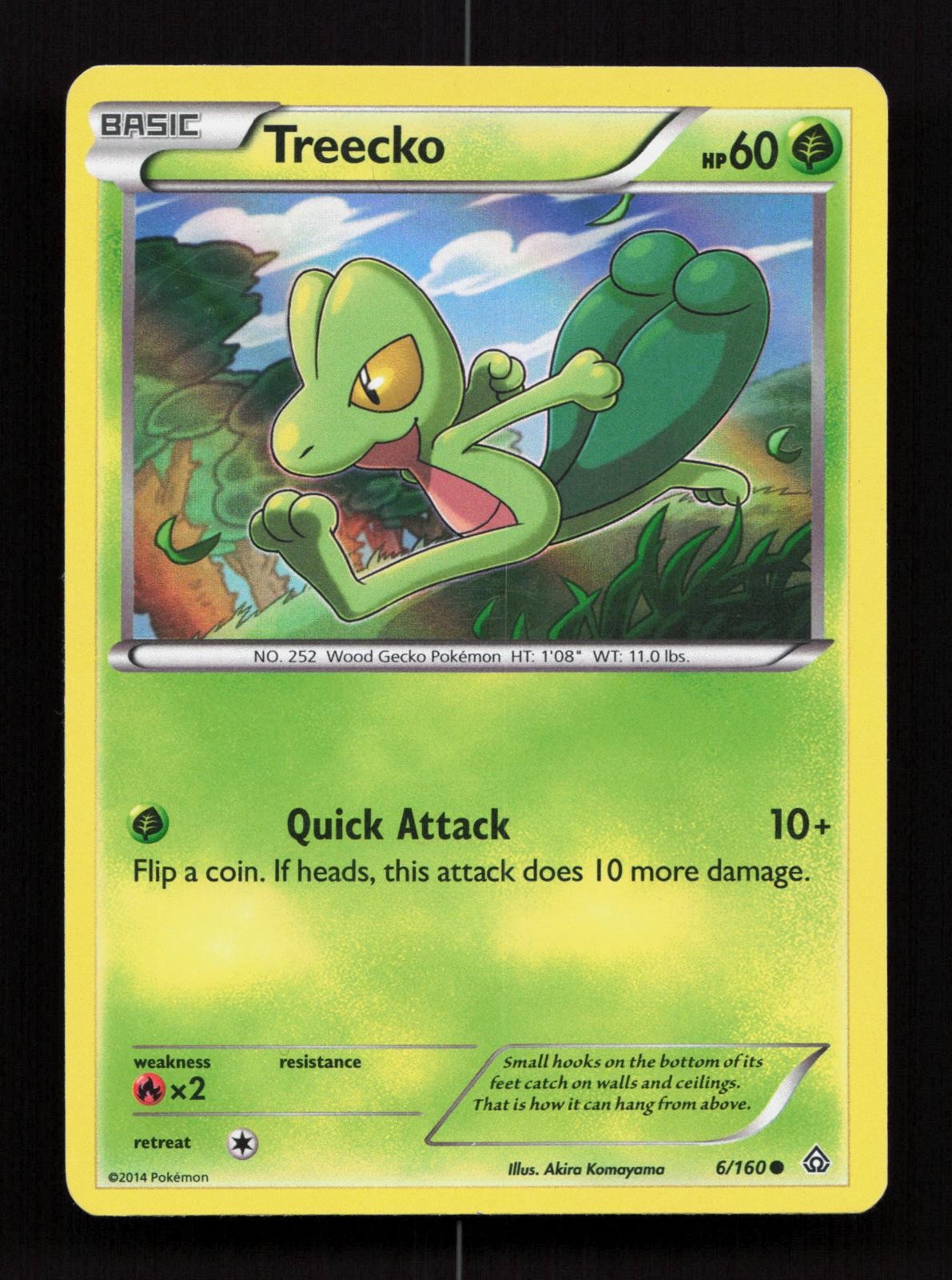 Treecko 6/160 Primal Clash Common Pokemon Reverse Holo LP
