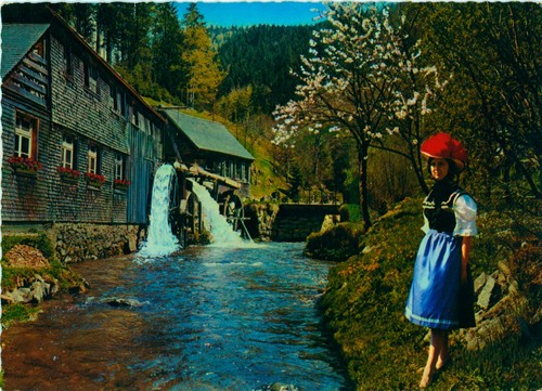 BW-044 Ansichtskarte Furtwangen im Schwarzwald Hexenlochmühle Donauquellstadt