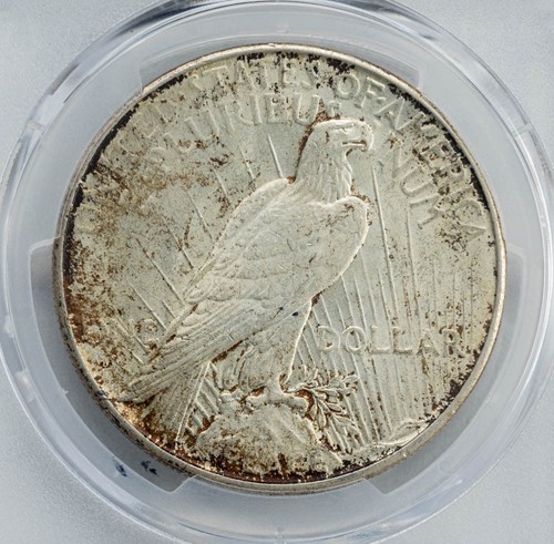 1934-D Peace Silver Dollar $ MS63+ Secure PCGS 950316-6 - Picture 4 of 5