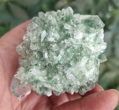 187g NUEVO HALLAZGO VERDE NATURAL TIBETANO CUARZO CRISTAL RACIMO MUESTRA CURACIÓN 1 - Imagen 10 de 10