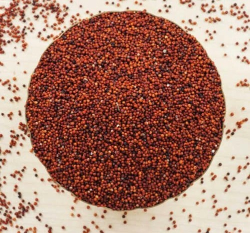 Ragi / Namchi / Finger Whole Millet Natural Herbs Grains - Picture 2 of 3