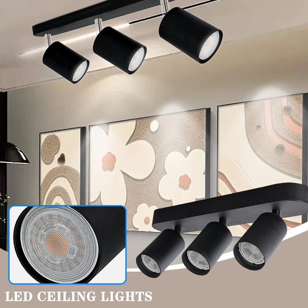 3 way 2024 spotlight bar