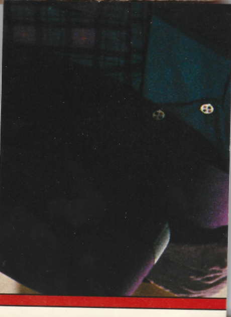 Picture 3 of 41