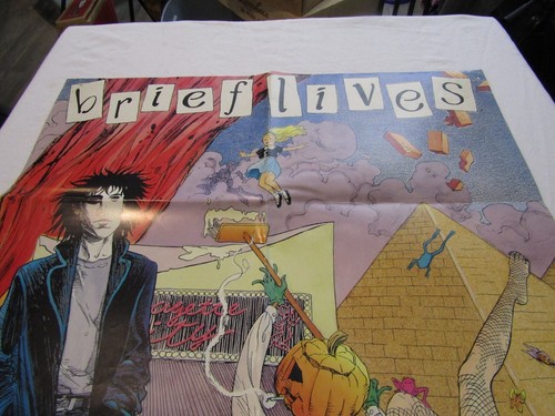 SANDMAN ''BRIEF LIVES'' 1993 DC COMICS by GAIRMAN VINTAGE POSTER 22X34 - Picture 10 of 10