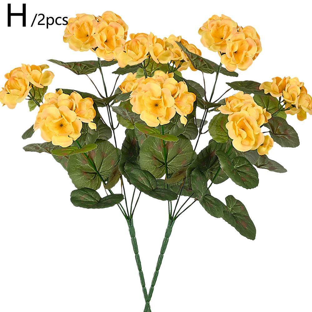 Foto 22 di 34