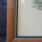 Picture 5 of 13