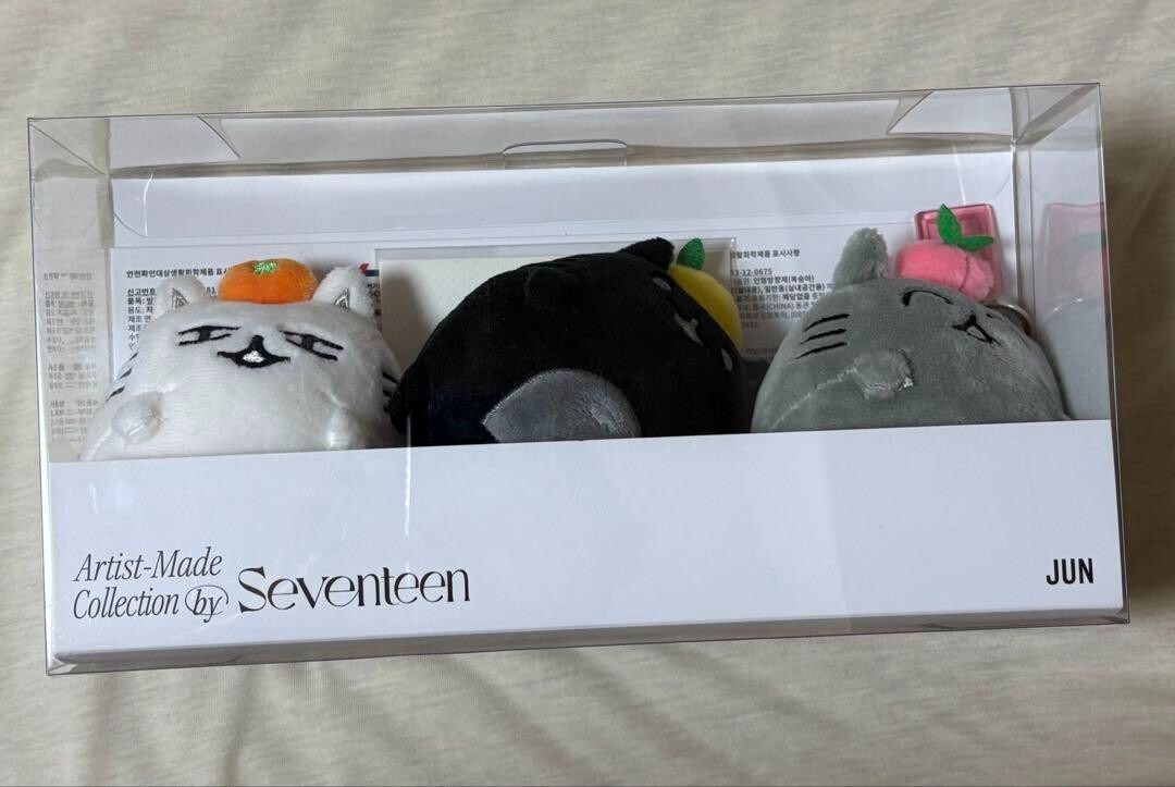 SEVENTEEN JUN Artist Made Collection O.C.L KEYRING SET