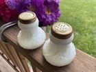 Vintage/antique Round Milk Glass salt & pepper shakers Floral Design Collectors￼