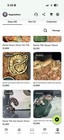 Ball python Desert Ghost TSK collection, moving out of country. $35k invested — photo 4