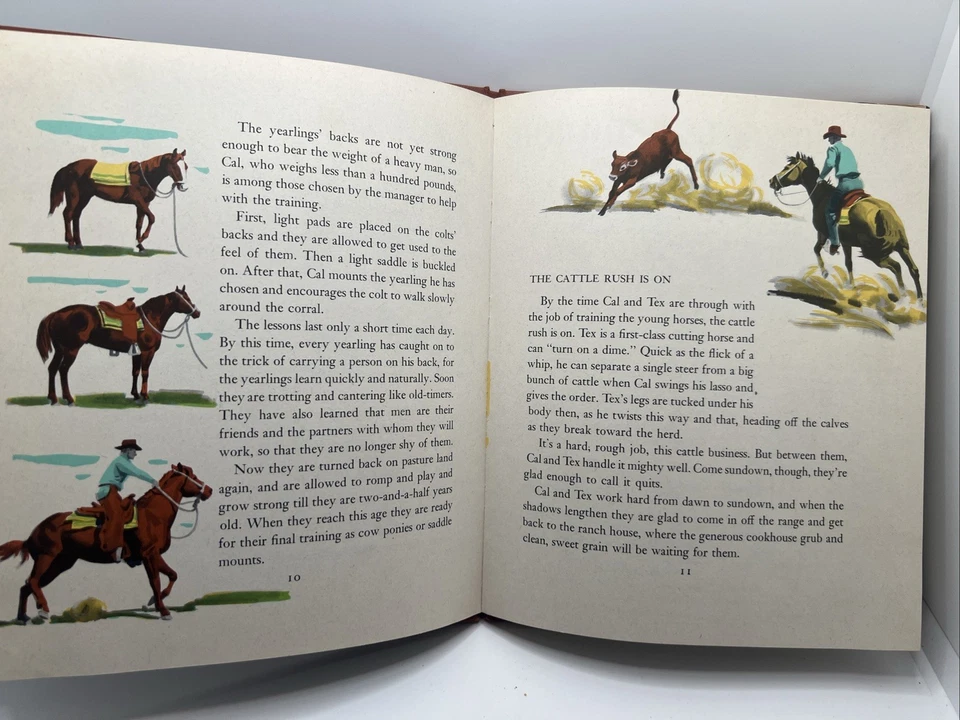 The First Book of Horses - McLennan McMeekin Hardcover DJ 1949 - Image 3 of 4