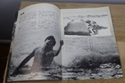 MONSTER : HUMANOIDS FROM THE DEEP Japanese Movie Horror Program Barbara Peeters — photo 8