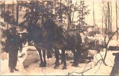 RPPC Logging Scene Man Posing With Horse Team Hauling Logs early 1900s