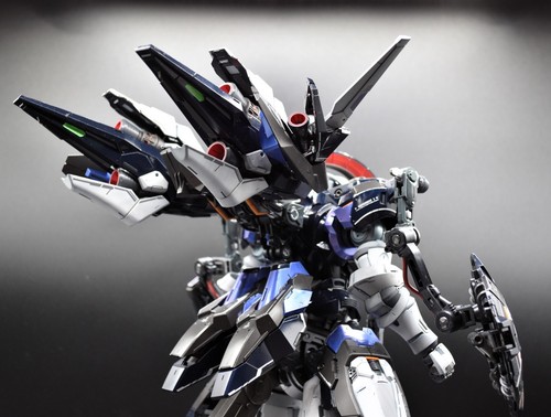 PG 1/60 Monument Repair Type ("Tallgeese") Gundam Model Kit costruito e dipinto - Foto 12 di 14