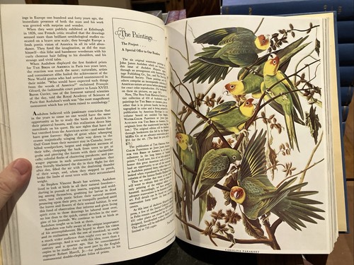 Audubon Magazine of the national Audubon society Library Bound Complete 1966 - Picture 15 of 15