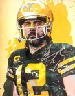 Aaron Rodgers Green Bay Packers Steelers signed 8x10 photo read description
