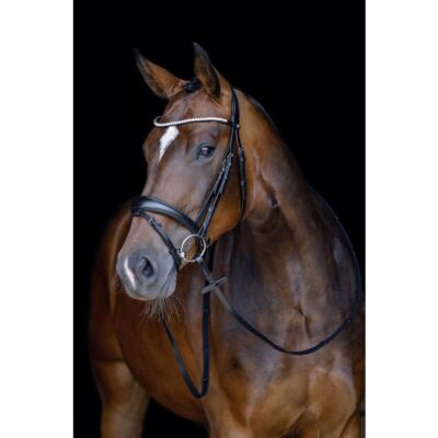 HKM Bridle Melinda