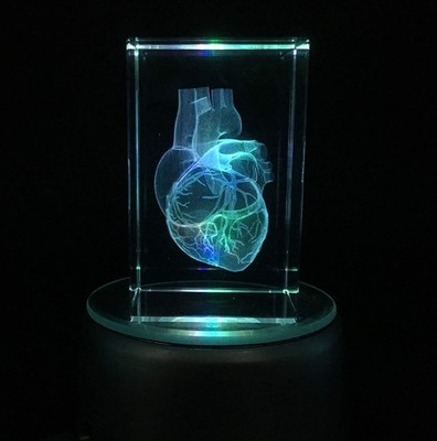 3D Human Heart Anatomical Model Paperweight(Laser Etched) in