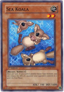 Sea Koala - PTDN-EN037 - Common - 1st Edition x3 - Lightly Played