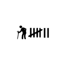 Tally sticker/decal CAR VAN joke funny mg vw ford seat skoda pug