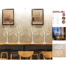Battery Operated Birch Tree 4PK - Cozy Warm White Light for Indoor Decor