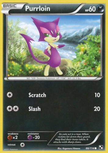 Purrloin - 66/114 - Common - Lightly Played