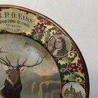Bild 7 von 9