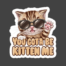 Cat Sticker Vinyl Decal You Gotta Be Kitten Me Cute Kitty Sunglasses