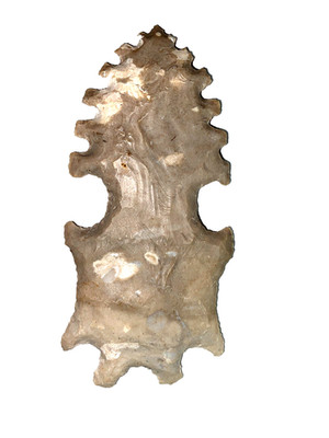 Exotic Arrowhead  Midwest Native American Artifact Arrowhead 4 5/8 x 2 3/16 inch