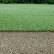 Premium Creeping Bentgrass Seed 160,000 seeds