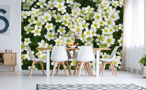 3D White Petals S1304 Wallpaper Mural Self-adhesive Removable Sticker Kids Pa - Picture 2 of 11