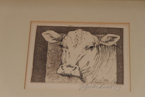 DONNA GUARDINO DRAWING OF A COW LITHOGRAPH SIGNED 1979 - Picture 5 of 6