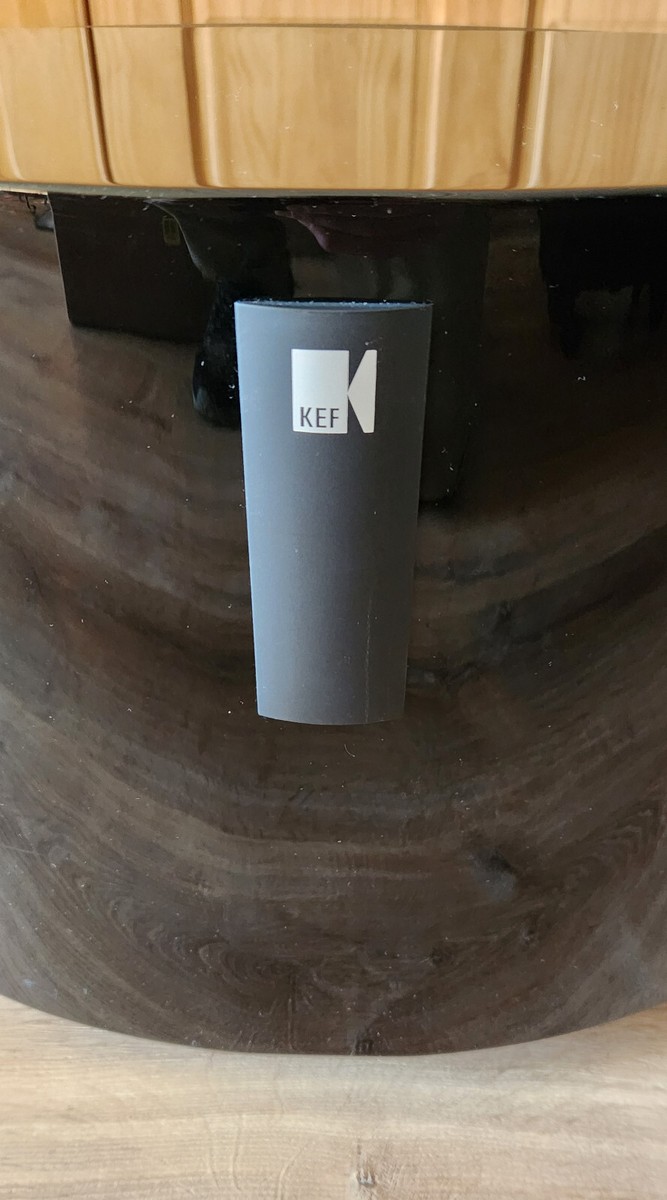 KEF PSW2500 10 Inch 250 Watt Subwoofer | eBay