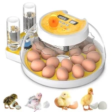 Incubators for Hatching Eggs 18-60 Egg Poultry Incubator 360° View Brooder Plate