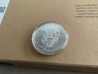 2015 American Silver Eagle — photo from another recent sale
